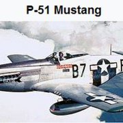 P-51 Mustang USAAF
