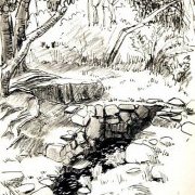 Forêt de Paimpont : la fontaine de Barenton