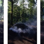 La carbonisation en meules en forêt de Paimpont - Fig. 15