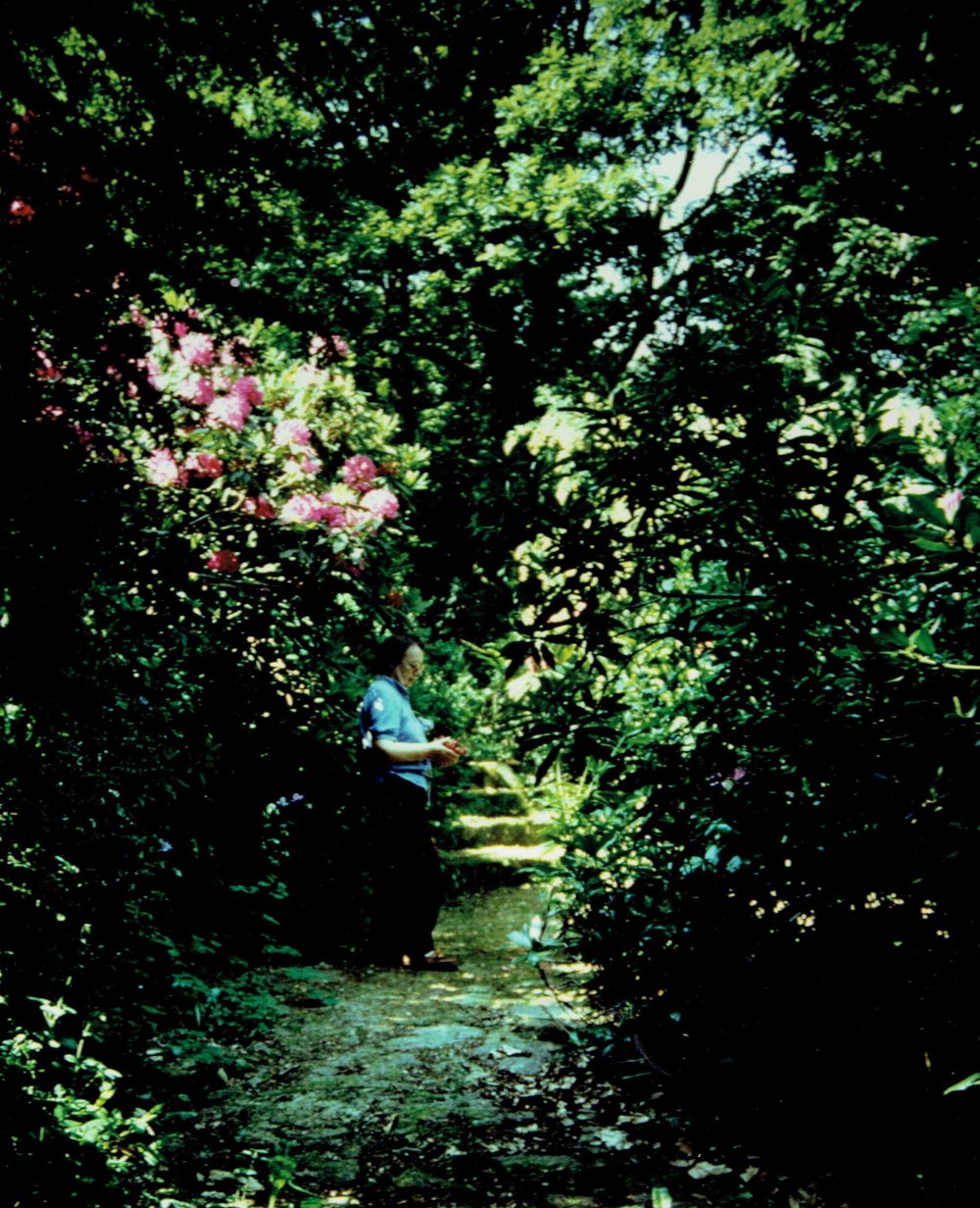 Denise Francès aux Affolettes, à l'ombre des rhododendrons
