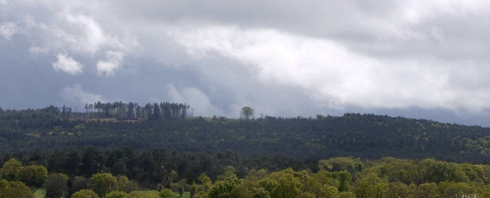 Le hêtre de Ponthus vu depuis Concoret en 2016