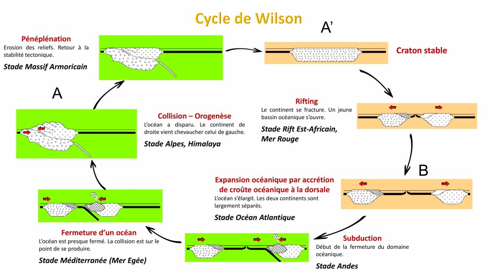 Fig. 33 – Le Cycle de Wilson 