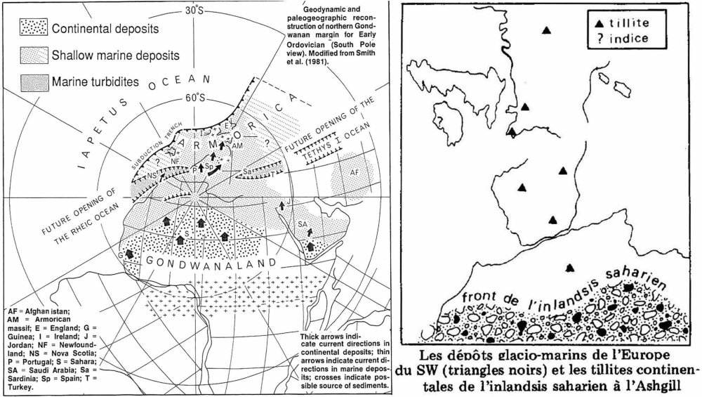 Fig. 91 – La dimension « gondwanienne » (vue à partir du pôle sud) des événements à l'ordovicien (485 – 443 Ma) 