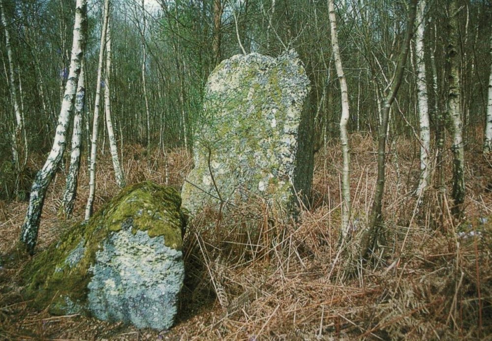 Les menhirs de Boutavent en 2004