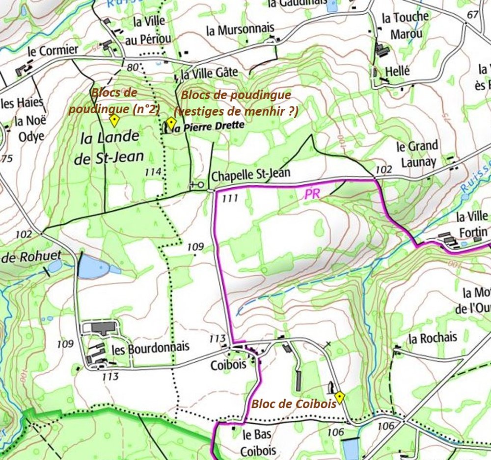 Carte IGN - Localisation du menhir de Saint Jouan