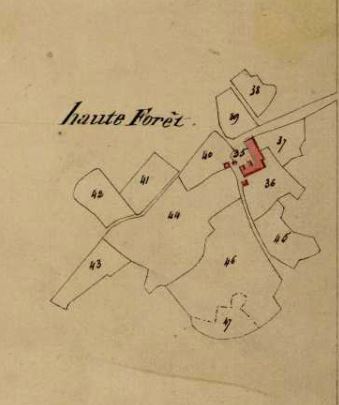 Haute-Forêt sur le cadastre de 1823
