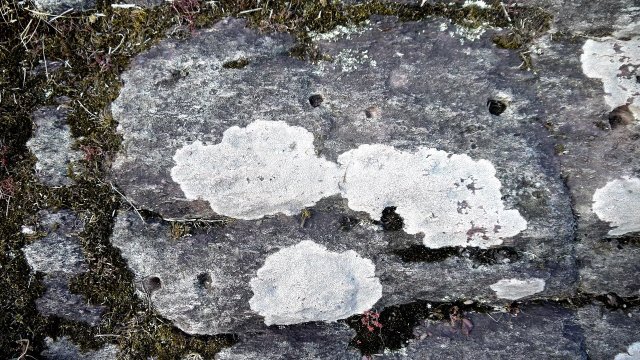 Cupules sur des rochers près du Tombeau de Merlin