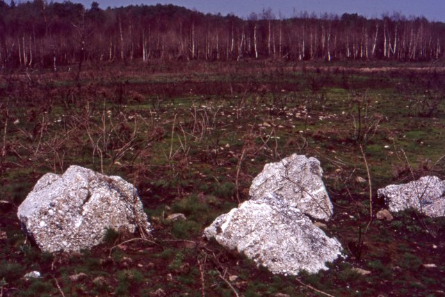 Blocs de quartz blanc de la Mare - Buttes aux tombes