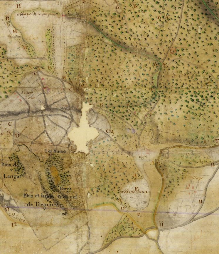 Le Bois de la Montre sur la carte de la forêt de Bresselien de 1727