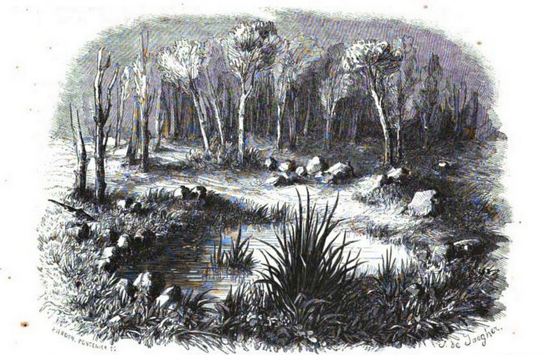 Tombeau de Merlin dans le Magasin Pittoresque (1846)