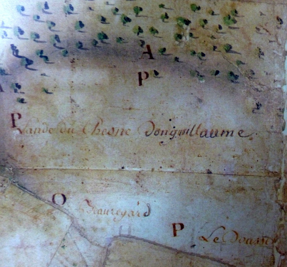 Plan de la lande du chêne à Dom Guillaume